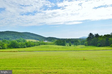 0 Dellinger Gap Rd unit VASH119516, Edinburg, VA 22824 - photo 3