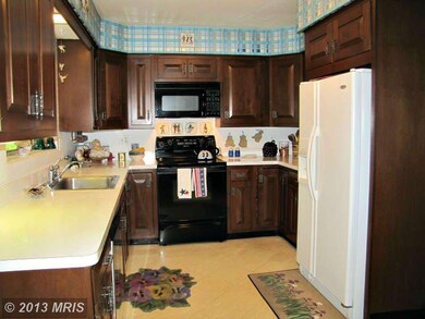 3530 Half Moon Cir, Falls Church, VA 22044 - photo 6