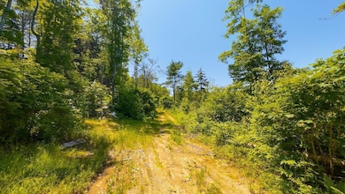 Lot #2 Rte 209 Main Rd, Phippsburg, ME 04562 - photo 3