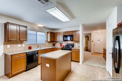 11919 Dove Ranch, San Antonio, TX 78254 - photo 4