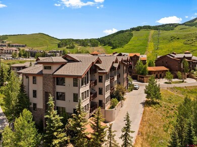 9 Hunter Hill Rd unit 203, Mt. Crested Butte, CO 81225 - photo 3