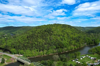 0 Perkins Rd unit 11563868, Hancock, NY 13783 - photo 3