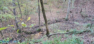 00 Plainview Dr, Saluda, VA 23149 - photo 3