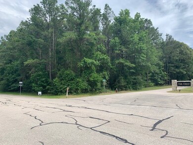 0 Waterwood unit 37827872, Huntsville, TX 77320 - photo 5