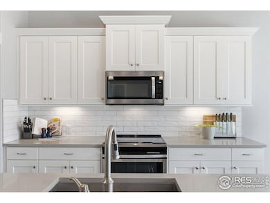 5039 Long Dr, Timnath, CO 80547 - photo 6