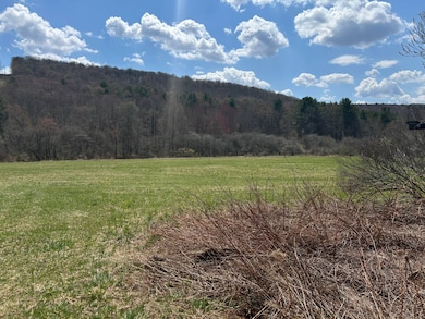 0 Houghtaling Hollow Rd unit 11452107, East Meredith, NY 13757 - photo 3