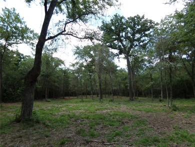 31375 Joseph Rd, Hockley, TX 77447 - photo 7