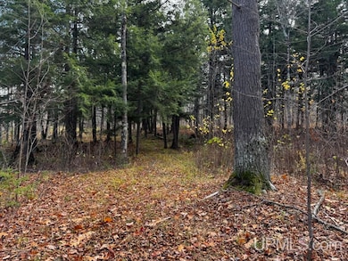 TBD OFF Skanee Rd, Skanee, MI 49962 - photo 5