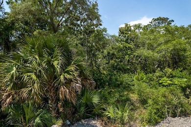 lot 18 E Main St, Steinhatchee, FL 32359 - photo 2