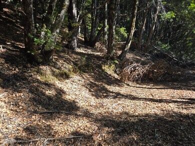 000 Panther Gap Rd, Honeydew, CA 95545 - photo 6