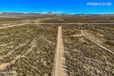 Runway with approx lot lines
