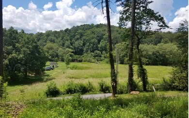 10 Fish Camp Way, Mineral Bluff, GA 30559 - photo 2