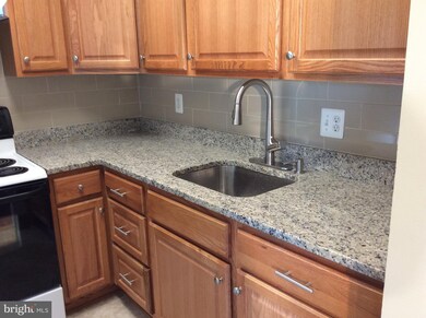 5756 Village Green Dr unit A, Alexandria, VA 22309 - photo 5