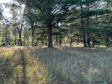 429 W 72nd St, Baldwin, MI 49304 - photo 2