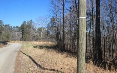 0 Log Round Mountain Rd unit 304623, Ellijay, GA 30540 - photo 4