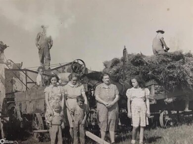 19980 173rd Ave, Sigourney, IA 52591 - photo 6