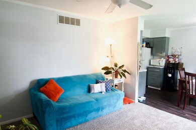 2806 S Mock Ave, Muncie, IN 47302 - photo 4