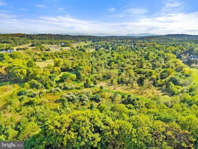 0 Cedar Creek Grade unit VAFV2036934, Winchester, VA 22602 - photo 3