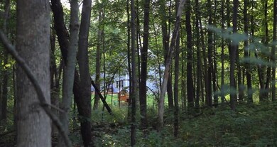 2051 Walnut Way (#10), Chelsea, MI 48118 - photo 6