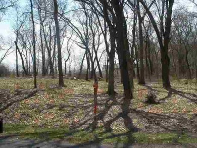 Lot 12 Stone Pass, Oregon, WI 53575 - photo 3