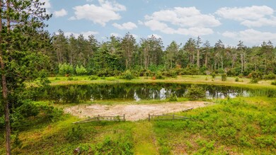 6612 Old Vanderbilt Rd, Vanderbilt, MI 49795 - photo 4