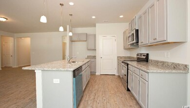 3139 Holly Loop unit Lot 63 Alston B, Conway, SC 29527 - photo 7