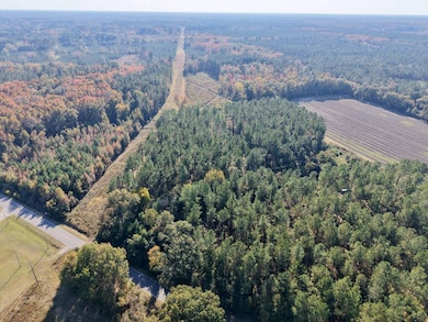 TBD Binnicker Bridge Rd, Bamberg, SC 29003 - photo 2