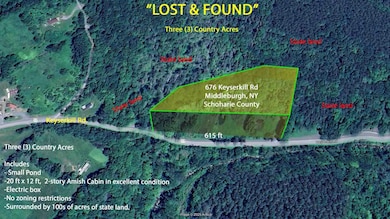 676 Keyserkill Rd, Middleburgh, NY 12122 - photo 4