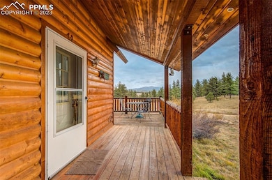 39858 Highway 24, Lake George, CO 80827 - photo 4