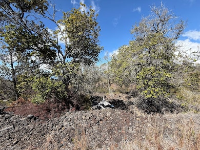 Pretty natural landscape w/ocean views beyond.