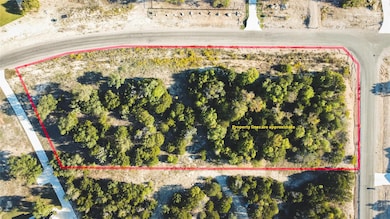 1000 Eagle's Ridge Ct, Weatherford, TX 76087 - photo 4