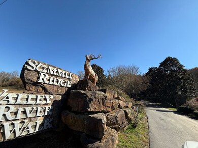 0 Summit Ridge Trail unit 154160, Marble, NC 28905 - photo 3