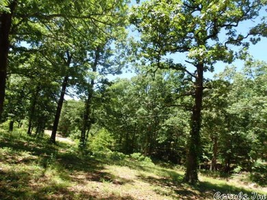 0 Cr 756, Jonesboro, AR 72401 - photo 5