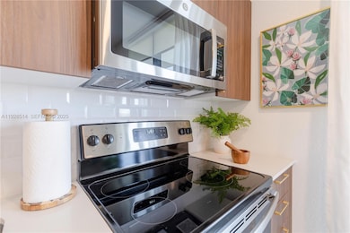 1005 Spring Garden Rd unit 705, Miami, FL 33136 - photo 7