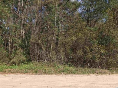 TBD Gemini Cir unit Juniper Bay Estates, Conway, SC 29527 - photo 3