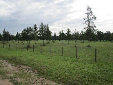 0 Sauls Rd unit 1012113, Callahan, FL 32011 - photo 7