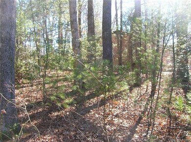 113 Atwood Dr unit 28, Hendersonville, NC 28792 - photo 6