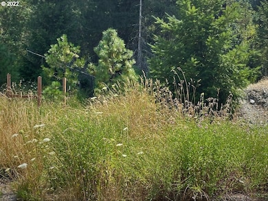 221 Twin Pines Dr, Glendale, OR 97442 - photo 5