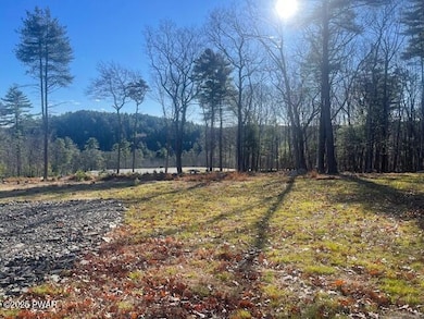 122 Skyview Ln, Dingman Township, PA 18337 - photo 2