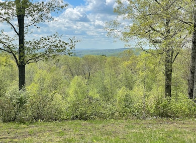 170 Rabbit Hill Rd, New Preston Marble Dale, CT 06777 - photo 3