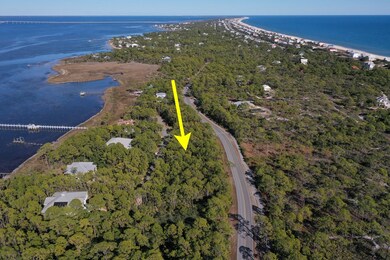 Easterly View of Apalachicola Bay Bridge