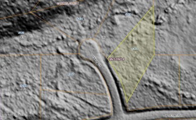 Bare Earth