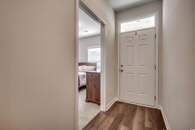 Entrance foyer featuring dark hardwood / wood-styl