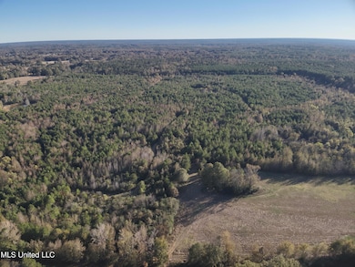 0 Tank Rd, Crystal Springs, MS 39059 - photo 5