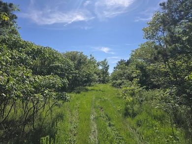 TRACT 40 Trail Ridge Rd, Albion, OK 74571 - photo 6