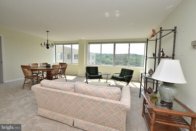 River Towers unit 903, Alexandria, VA 22307 - photo 2