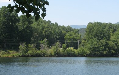 Additional View
