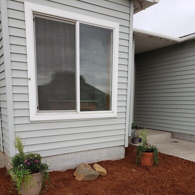 front window and rocks
