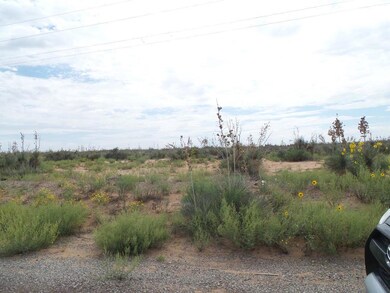 TBD Tbd - Sunland Estates Unit 8, Horizon City, TX 79928 - photo 2