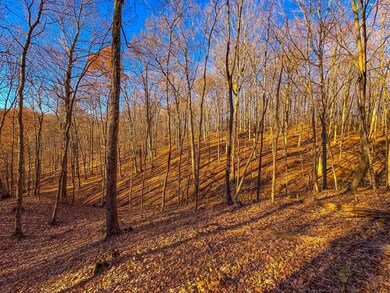 0 Oak Grove Rd, Waverly, WV 26184 - photo 5